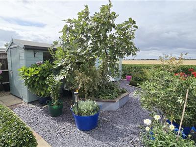 Picture 19